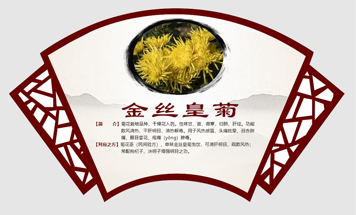 金丝皇菊
