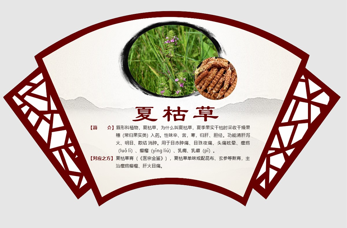 夏枯草