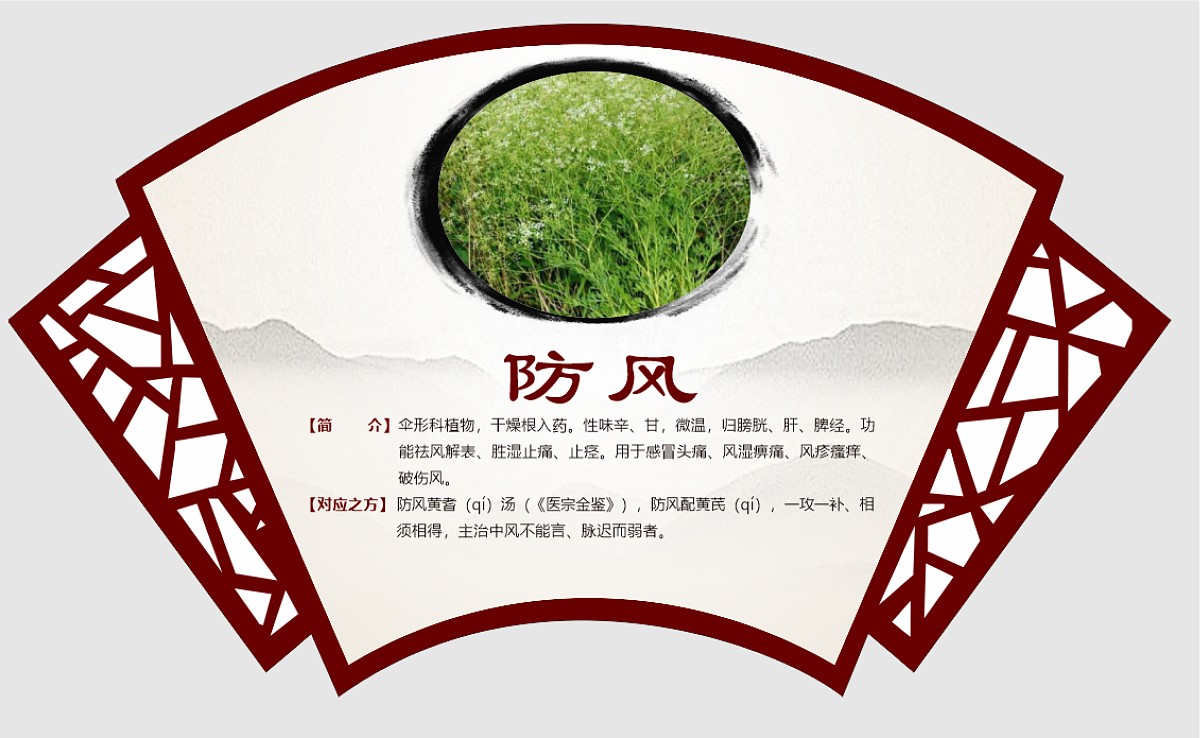 防风