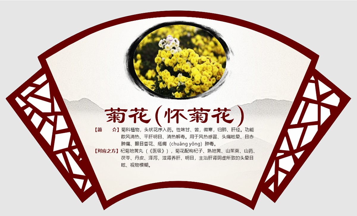 菊花