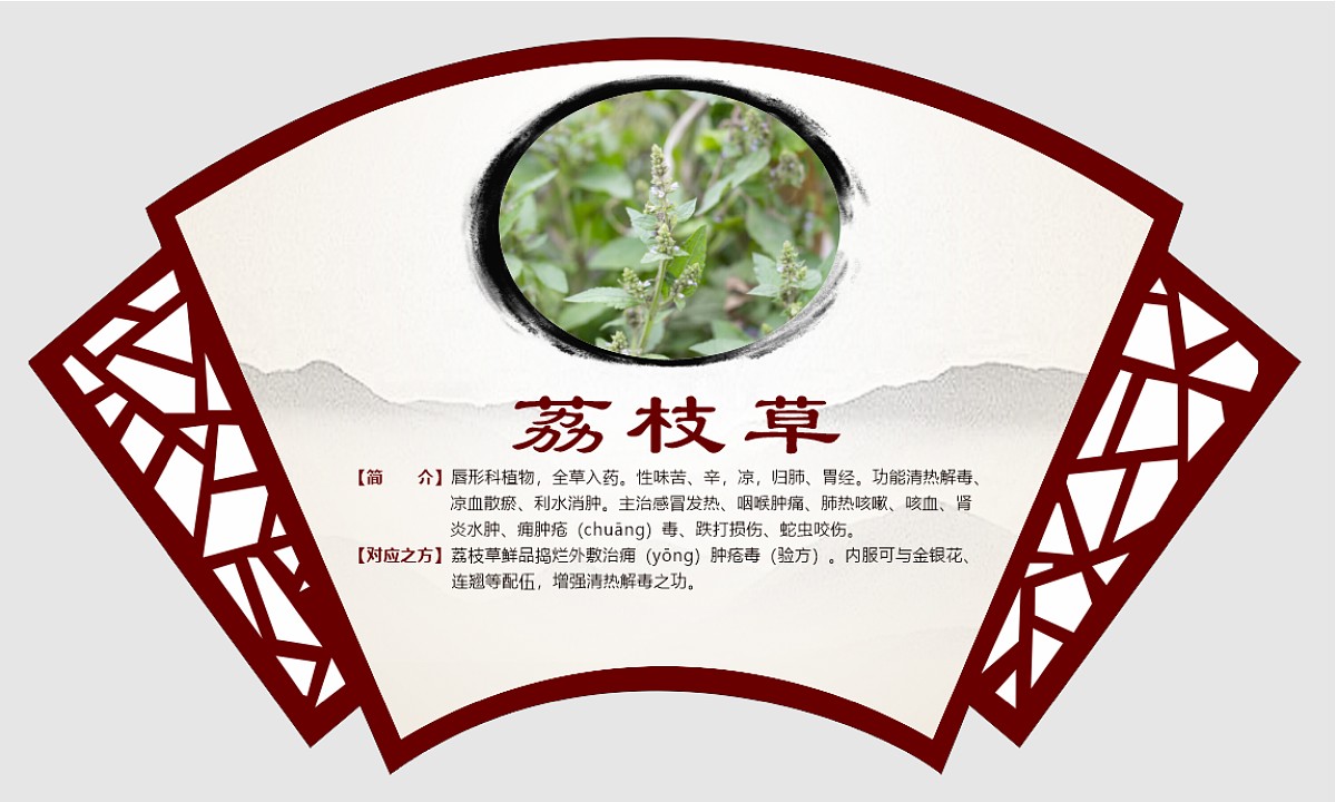 荔枝草