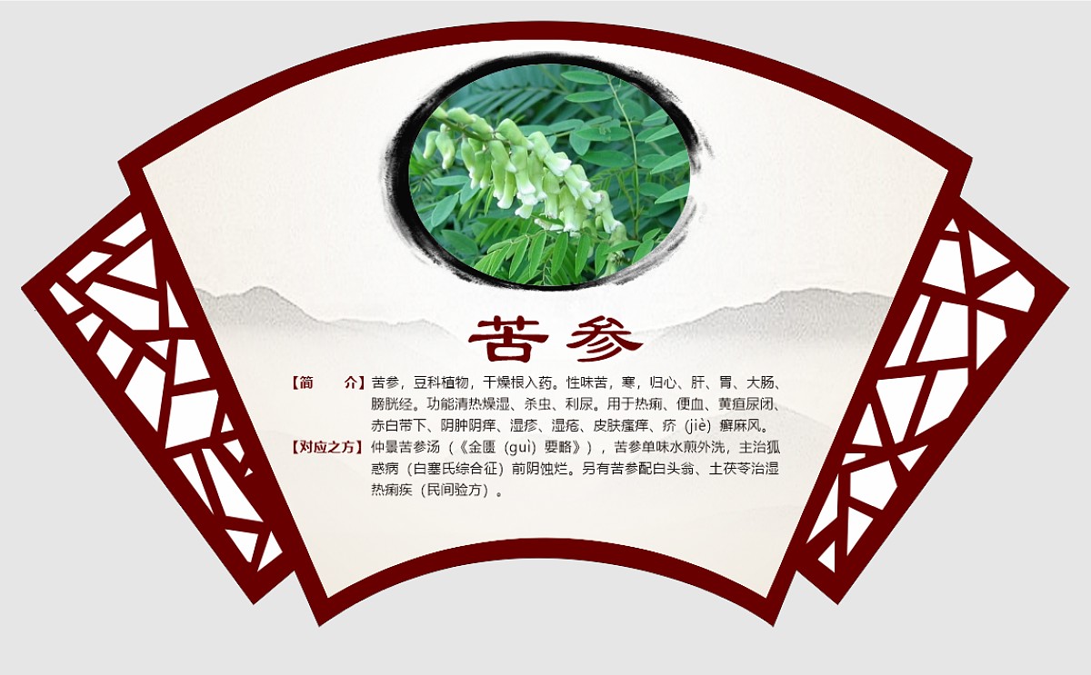 苦参