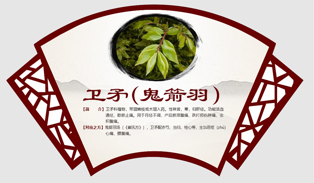 卫矛