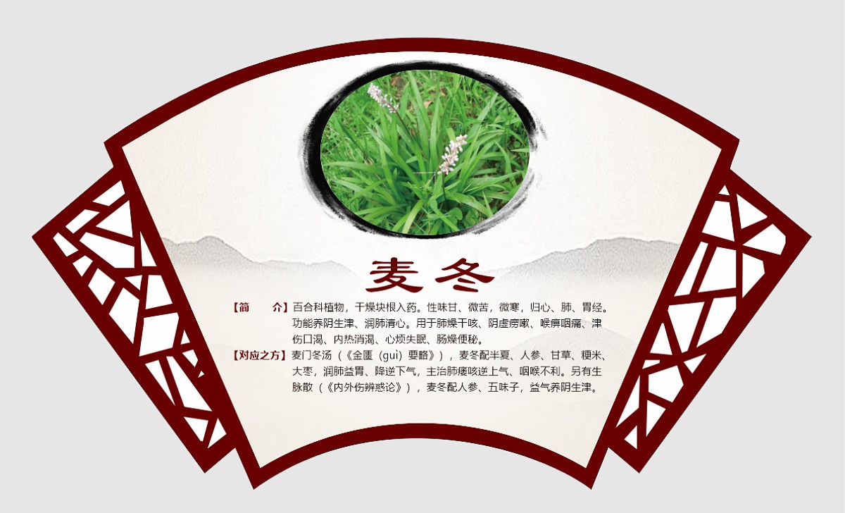 麦冬