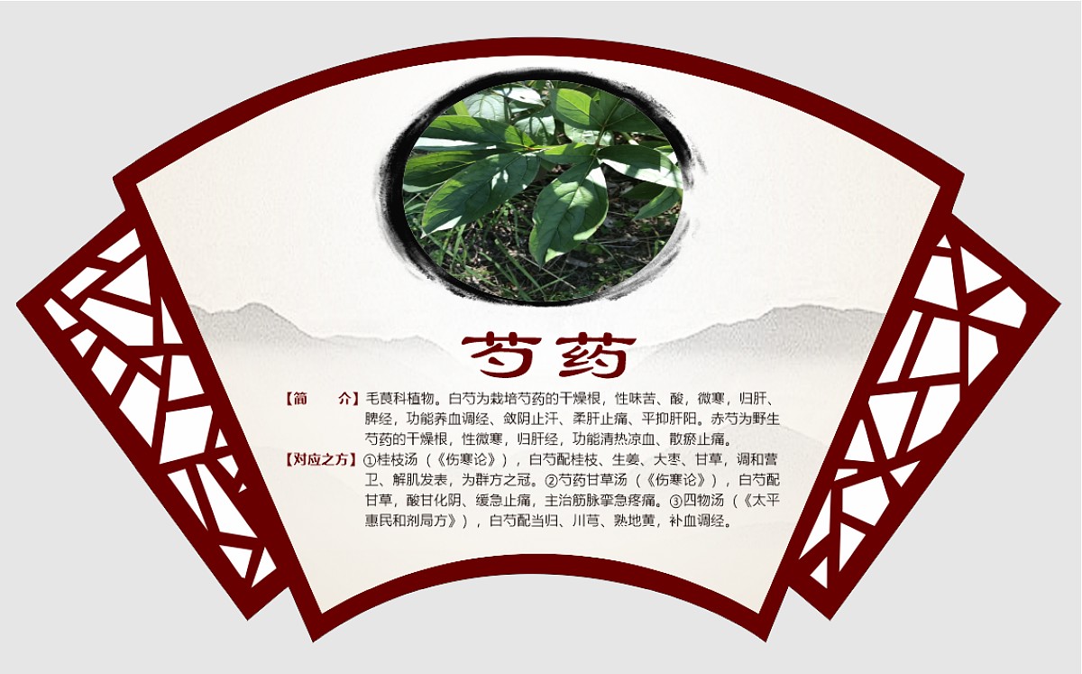 芍药