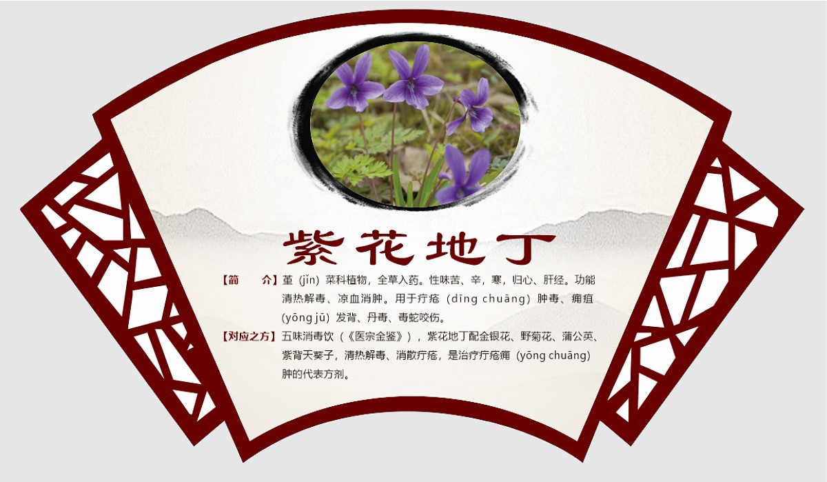 紫花地丁
