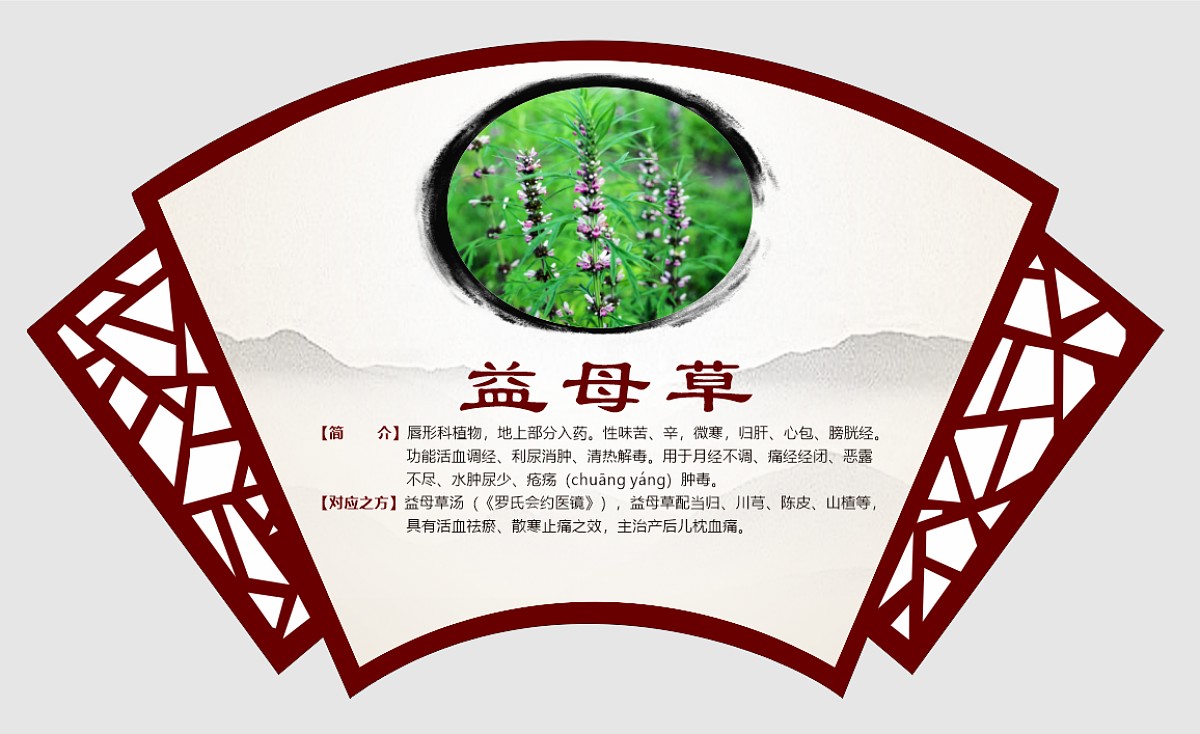 益母草