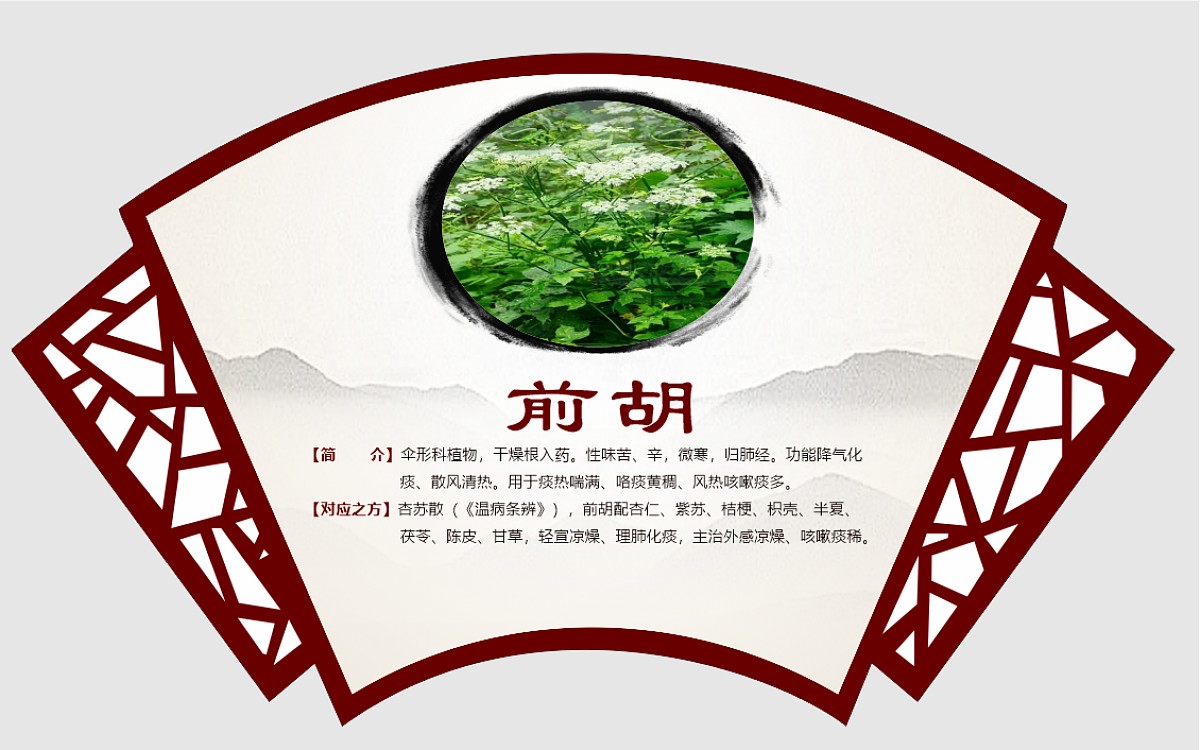 前胡