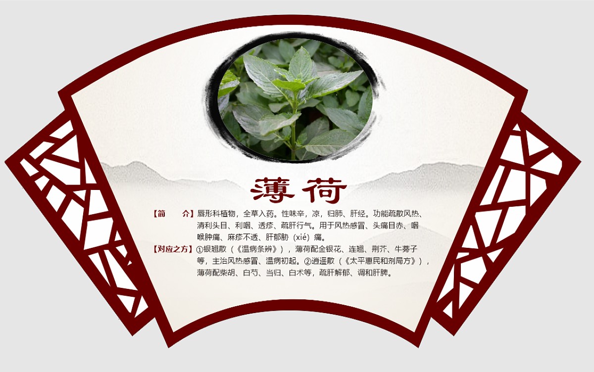 薄荷