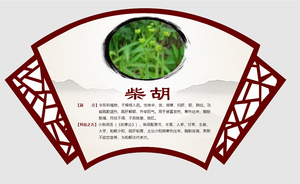 柴胡