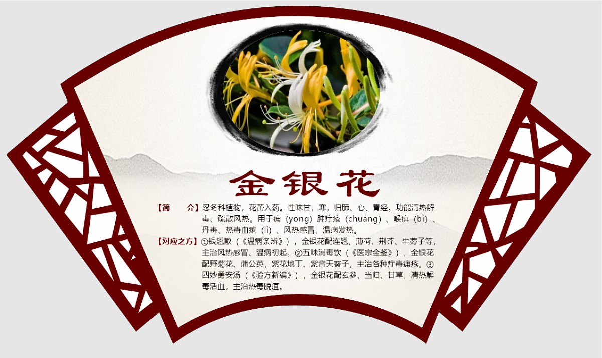 金银花